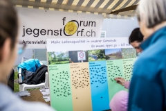 Dorffest 2019