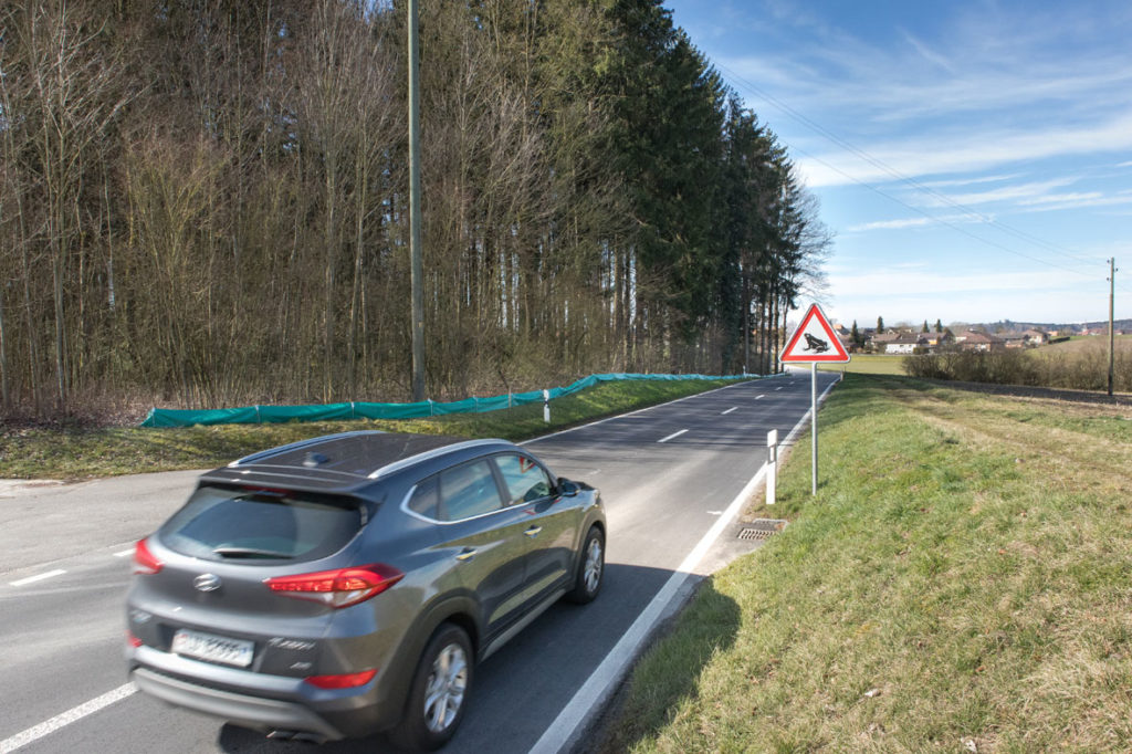 Zugstrecke beim Mooswald Münchringen